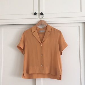 Everlane silk notch button up shirt